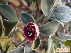 新生儿睡觉少怎么办