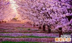 2 4种毛孔粗大肤质专属护理方案