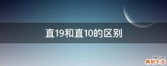 直19和直10的区别