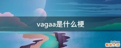 vagaa是什么梗