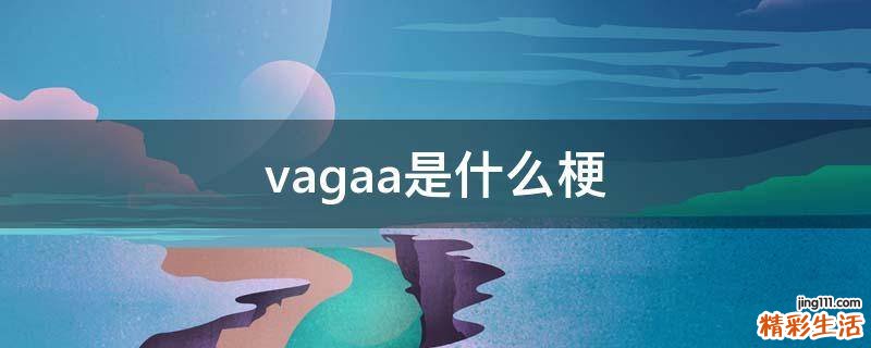 vagaa是什么梗