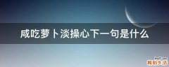 咸吃萝卜淡操心下一句是什么