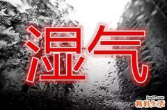 身体的“湿气”到底是什么