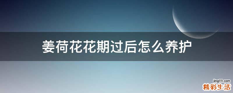 姜荷花花期过后怎么养护