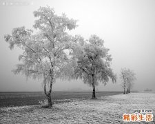 大雪时节养生 应注意衣食住行