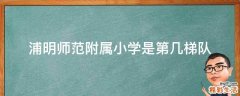 浦明师范附属小学是第几梯队