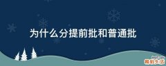 为什么分提前批和普通批