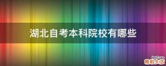 湖北自考本科院校有哪些