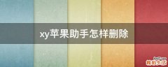xy苹果助手怎样删除