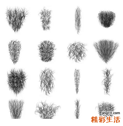 阴毛为什么是自然卷