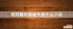 楚雨馨和萧破天是什么小说