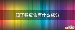 知了猴皮含有什么成分