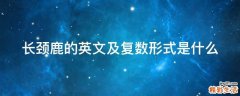 长颈鹿的英文及复数形式是什么