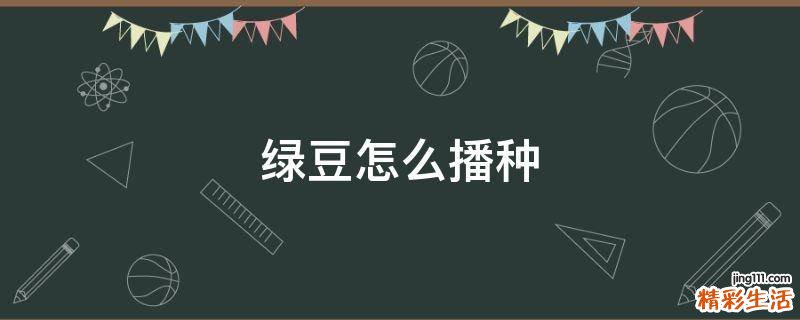 绿豆怎么播种