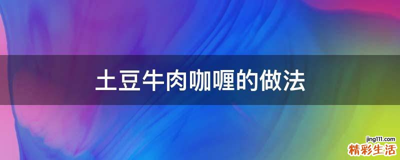 土豆牛肉咖喱的做法
