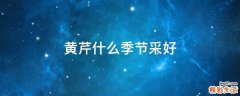 黄芹什么季节采好