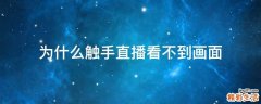 为什么触手直播看不到画面