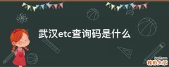 武汉etc查询码是什么