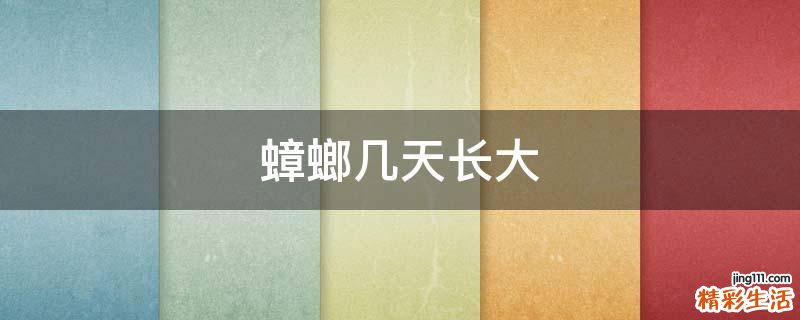 蟑螂几天长大