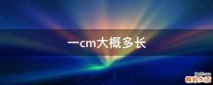 一cm大概多长