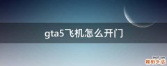 gta5飞机怎么开门