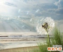 如何护理宝宝的乳牙_护理宝宝乳牙的方法