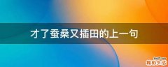 才了蚕桑又插田的上一句
