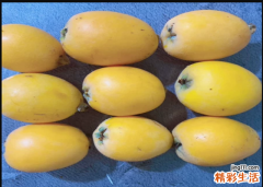 枇杷果保存方法