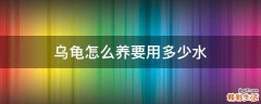乌龟怎么养要用多少水