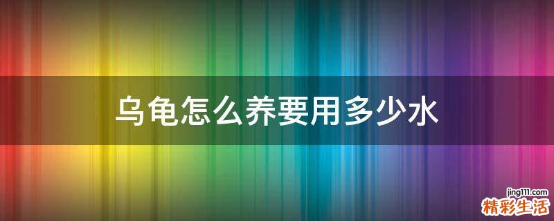 乌龟怎么养要用多少水