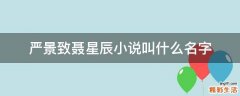 严景致聂星辰小说叫什么名字