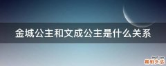 金城公主和文成公主是什么关系