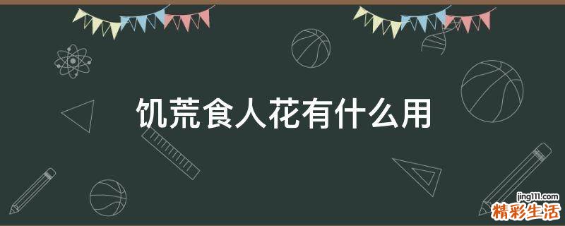 饥荒食人花有什么用