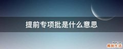 提前专项批是什么意思