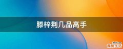 滕梓荆几品高手