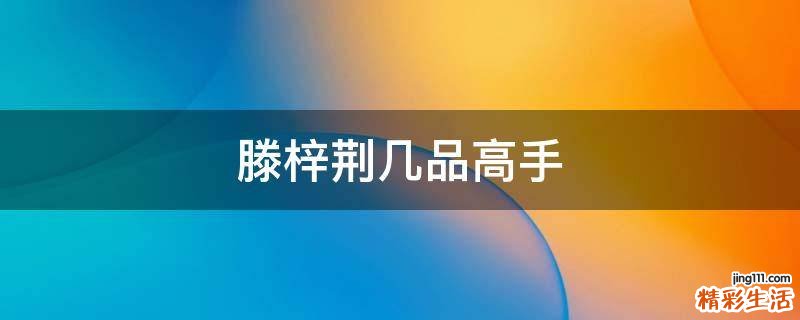 滕梓荆几品高手