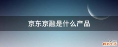 京东京融是什么产品