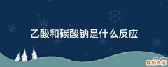 乙酸和碳酸钠是什么反应