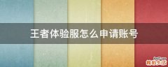 王者体验服怎么申请账号