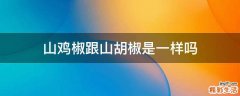 山鸡椒跟山胡椒是一样吗