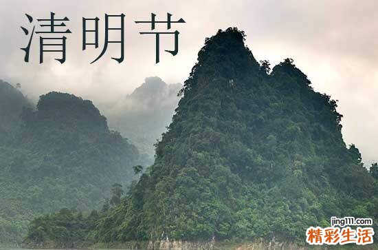 清明草有几种