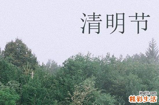 做清明果的草有几种
