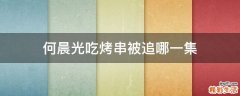何晨光吃烤串被追哪一集