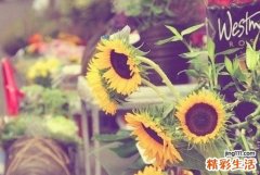 新生儿应注意哪些事项