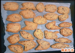 饼干做好了需要怎么保存