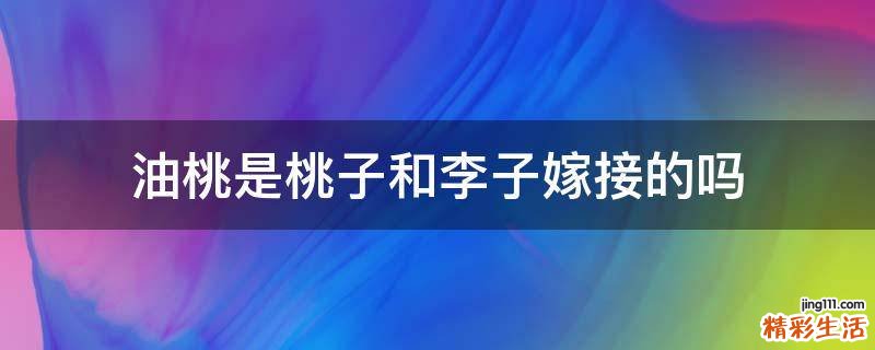 油桃是桃子和李子嫁接的吗