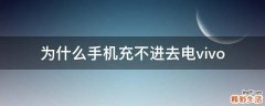 为什么手机充不进去电vivo