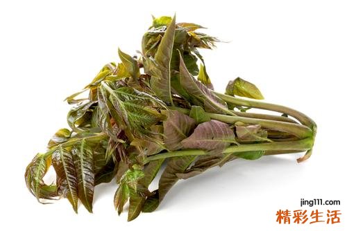 春分节气养生必备的9种食物
