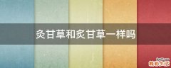 灸甘草和炙甘草一样吗