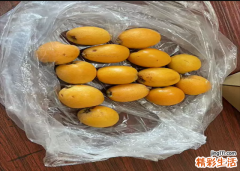 枇杷叶的储存方法